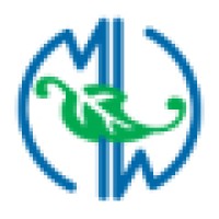 Mayes | Wilson & Associates Llc