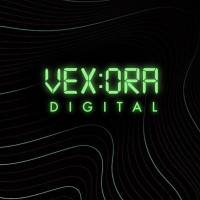 Vexora Digital logo - Similar company to S8 Acquisition