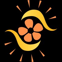 Leanopsys LLC * Leanopsys Business Consultants logo - Similar company to Nkg Consulting