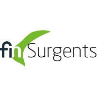 FinSurgents logo - Similar company to Smartone Global