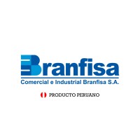 BRANFISA logo - Similar company to Gps Control Benick
