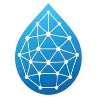 Digital Water Solutions logo - Similar company to Flow Environmental Corp.