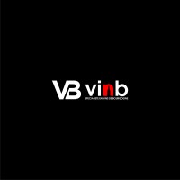 VinB logo - Similar company to Still Link