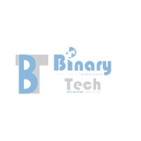 Binary Tech Consulting Corp logo - Similar company to Ks Systems Llc