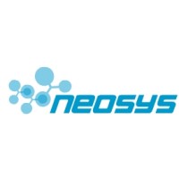 Neo sys logo - Similar company to Neo Systems