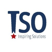 TSO (The Sanford Organization) logo - Similar company to Walnut Risk Management, Llc