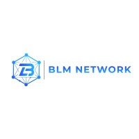 BLM Networks logo - Similar company to Procall Solutions - Usa