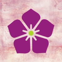 VanityKart logo - Similar company to Crazydeals.Com