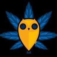 CBD Flowers logo - Similar company to Hemp & Cbd Expo