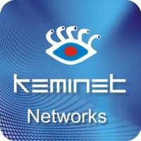 Keminet logo - Similar company to Impuls Technology Group