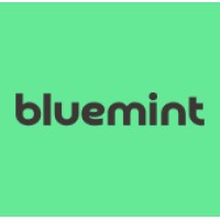 bluemint logo - Similar company to Moocommerce
