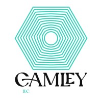 Camley LLC logo - Similar company to Cametoofar™