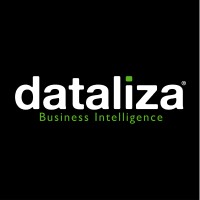 dataliza® | Odoo Partner Oficial logo - Similar company to Cognitio Marketing
