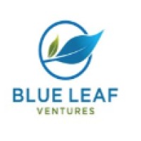 Blue Leaf Ventures logo - Similar company to Blue Leaf Technologies