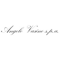 ANGELO VASINO S.P.A. logo - Similar company to Vay S.P.A.