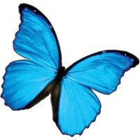 AL Design logo - Similar company to Second Renaissance