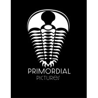 Primordial Pictures