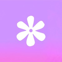 Lucid logo - Similar company to Inscribe Ai