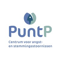 PuntP logo - Similar company to Tandinzicht