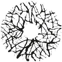 MOLOGO studio logo - Similar company to Unu Wearable Solutions