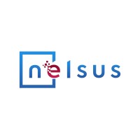 Nelsus Kurumsal Hizmetler Denetim ve Danışmanlık A.Ş. logo - Similar company to Berussa