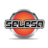 Selesa Technology logo - Similar company to Softsys Tech Sdn Bhd