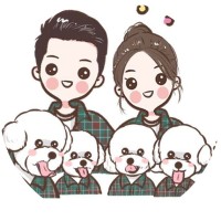 Anhui Dodo Pet Products Co., Ltd. logo - Similar company to Madfiniti
