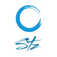 Soul Tech Zone logo - Similar company to Soul Tech Solutions