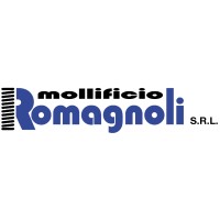 Mollificio Romagnoli s.r.l. logo - Similar company to Expometals.Net