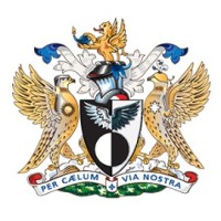 The Honourable Company of Air Pilots - New Zealand Region logo - Similar company to Pivot & Pace : Strategy & Implementation Experts