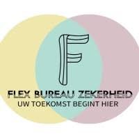 Flex Bureau Zekerheid logo - Similar company to Praktijk Asoro
