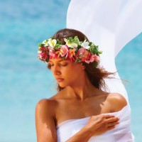 Pure Fiji logo - Similar company to Boost Oxygen