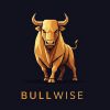 BULLWISE logo - Similar company to Future State