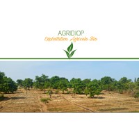 AGRIDIOP logo - Similar company to Eva-Agro Group