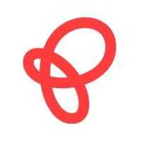 Packoneers logo - Similar company to Luminar Consulting