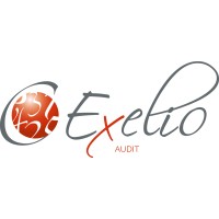 EXELIO AUDIT logo - Similar company to Soprotec