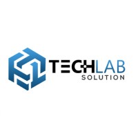 TechLab Solution logo - Similar company to Lexa Solution