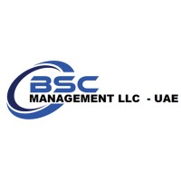 BSC MANAGEMENT LLC logo - Similar company to Express Capital