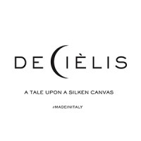 Decielis logo - Similar company to Ykone Cover