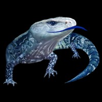 Blue Tongue Management logo - Similar company to Slh Agency