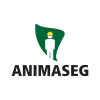 ANIMASEG EPI logo - Similar company to Vertical On