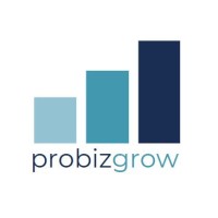 📈 17+ Years Growing Businesses with Google Ads @ ProBizGrow logo - Similar company to Google Ads Consultant & Detroit Seo Company | Bootstrap Creative