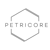 Petricore logo - Similar company to Overnite Studio By Present Company