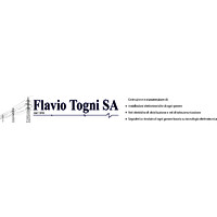 Flavio Togni SA logo - Similar company to Edmondo Franchini Sa