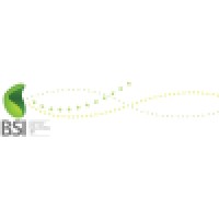 Bsi (Battery Solutions International)