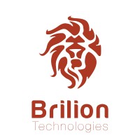 BrilionSoftware logo - Similar company to Tessella Studio