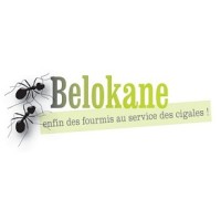 BELOKANE logo - Similar company to Cvertueux