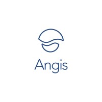 Angis logo - Similar company to Angis S.L