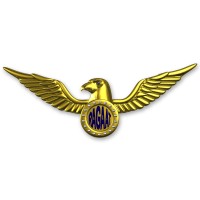Rajiv Gandhi Academy For Aviation Technology logo - Similar company to Magnetic Engineering Inc.