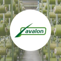 Avalon Grass logo - Similar company to Condor Group